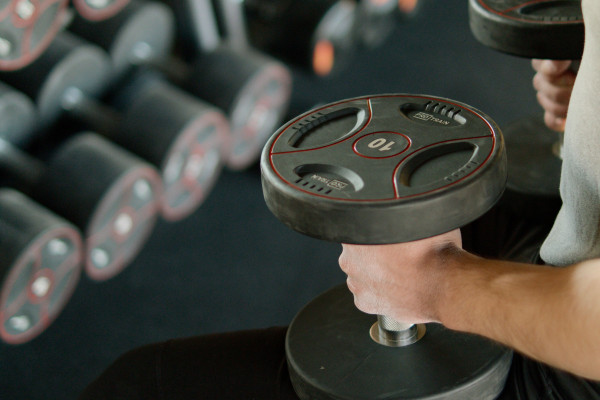 Person lifting dumbbells while seated on a bench in a modern gym.