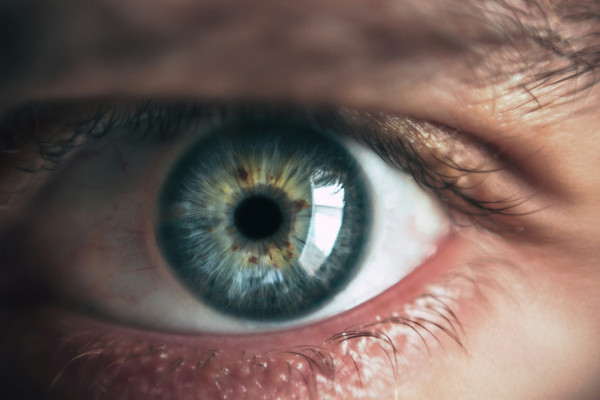 An extreme close-up of a human eye, representing one of the five senses that feed information to the brain